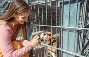 El entrenador en tu bolsillo